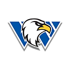 air force.png
