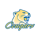 air force.png