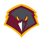 air force.png