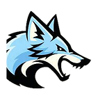 air force.png