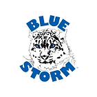 air force.png