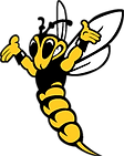 air force.png