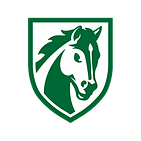 air force.png