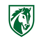 air force.png