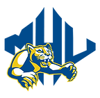 air force.png