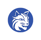 air force.png