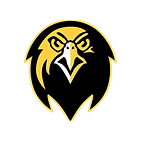 air force.png