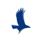 air force.png