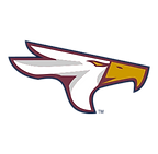 air force.png