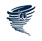 air force.png