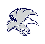air force.png
