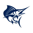 air force.png