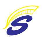 air force.png