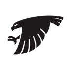 air force.png